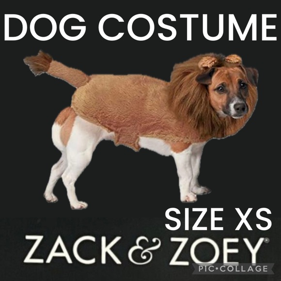 Zack & Zoey Other - ✨Zack & Zoey✨Dog Halloween Costume✨Fuzzy Lion Costume for Dogs, X-Small✨